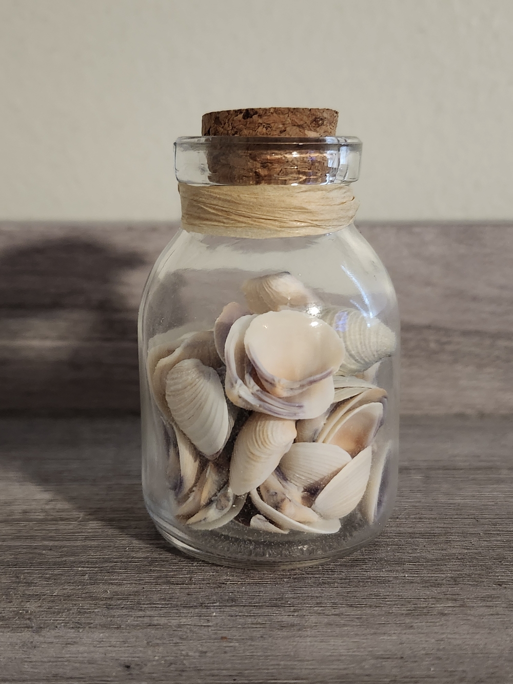 Cork-Topped Glass Jar Filled with Natural Seashells